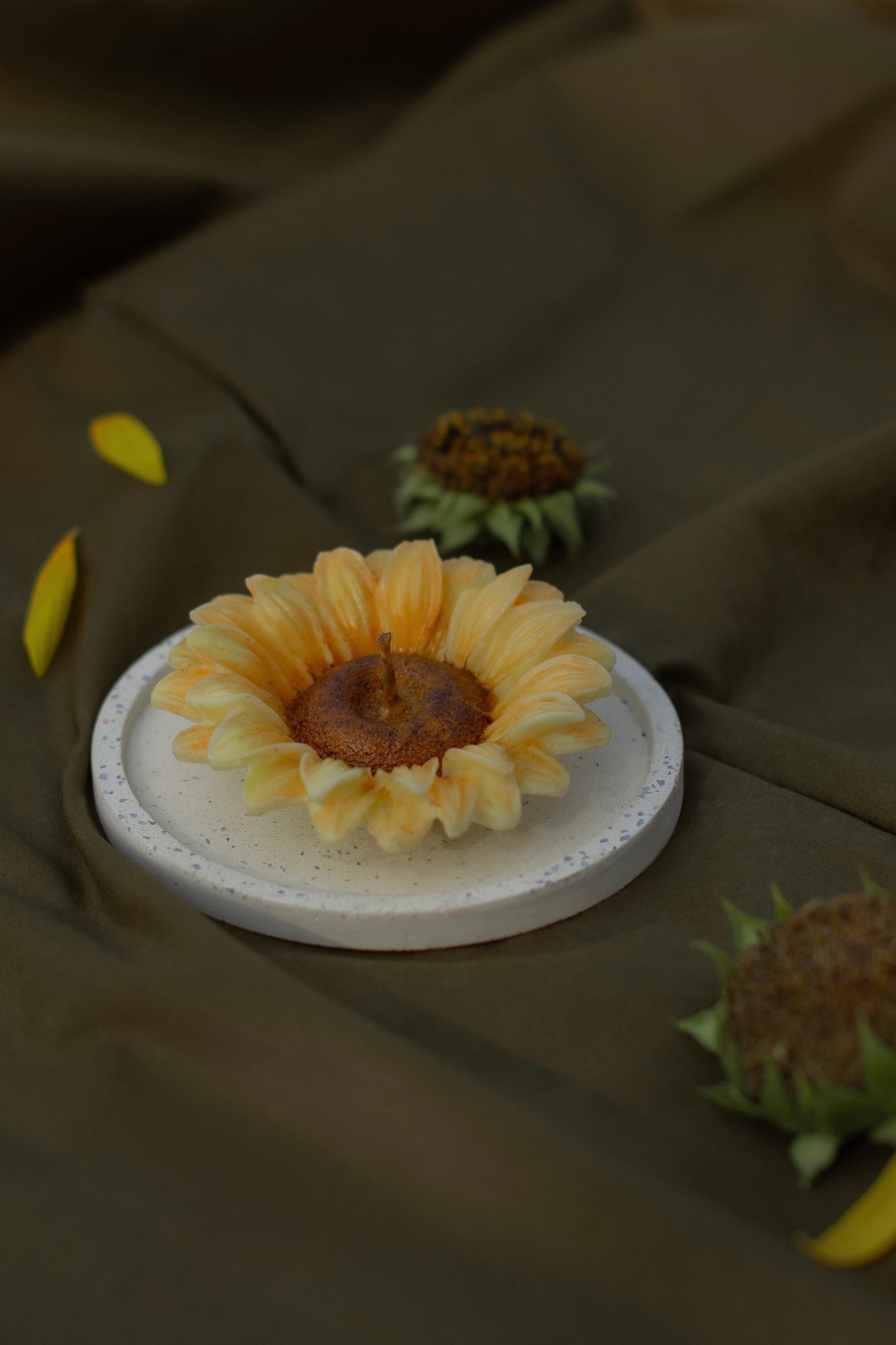 You're a Sunflower