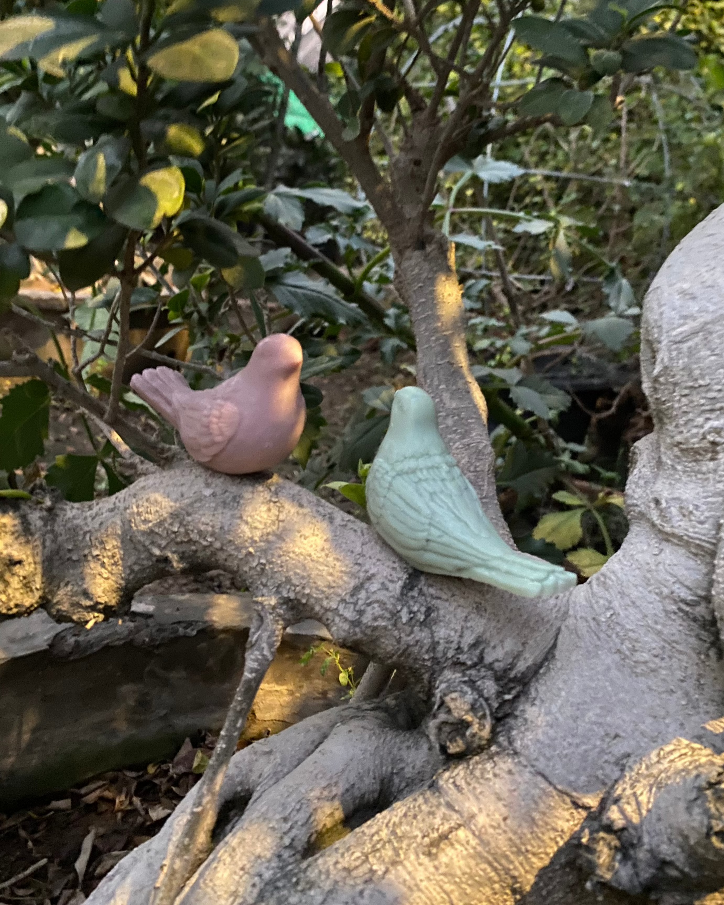 Dove Candle
