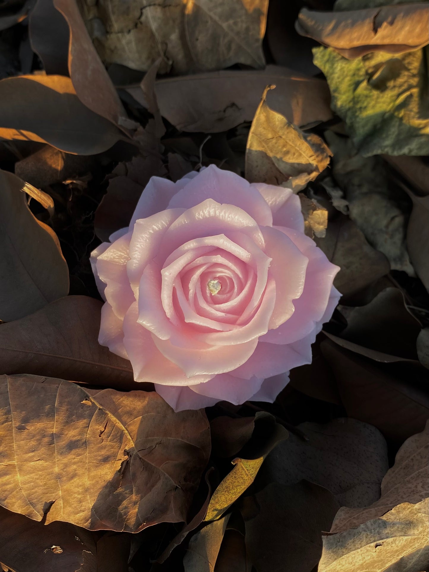 Rose Candle