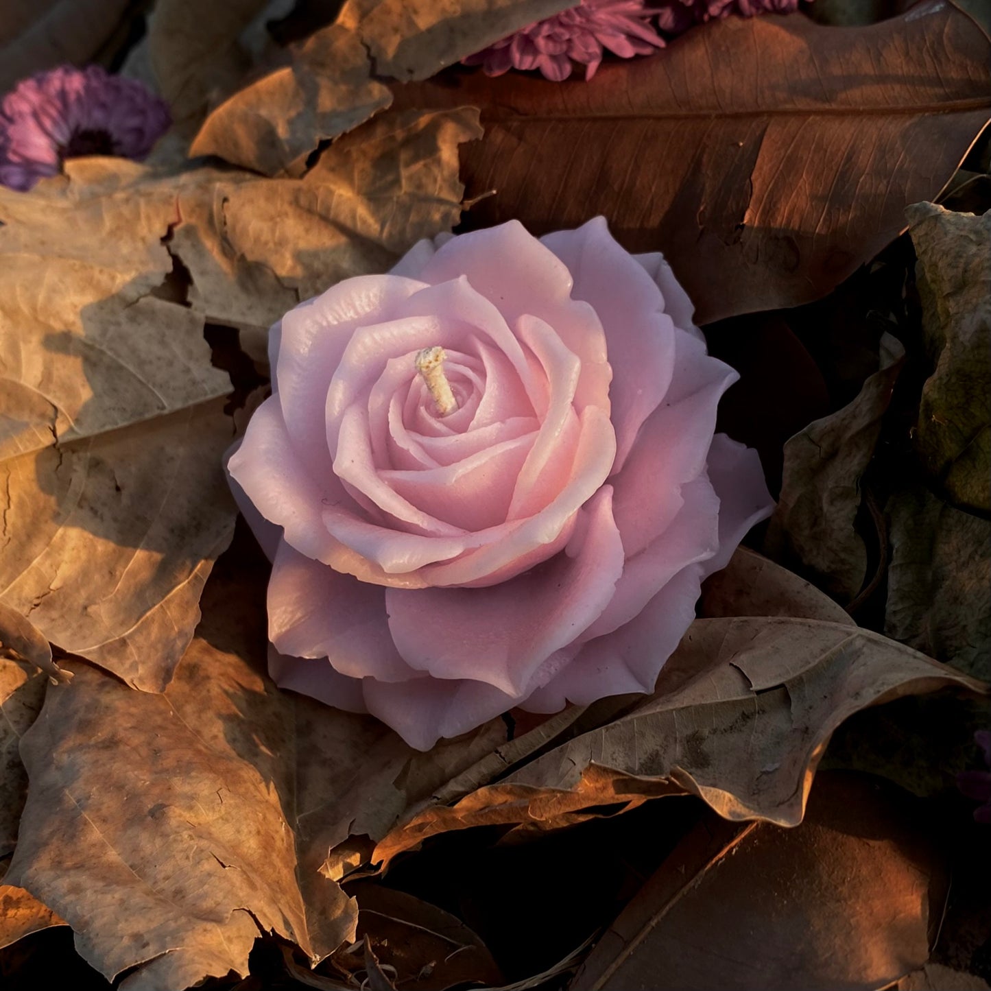 Rose Candle