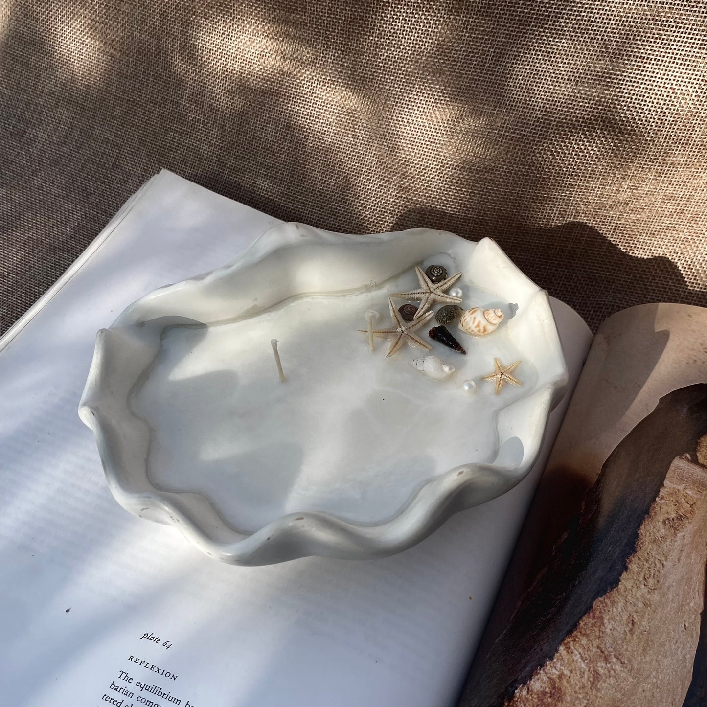 Shell Candle 3