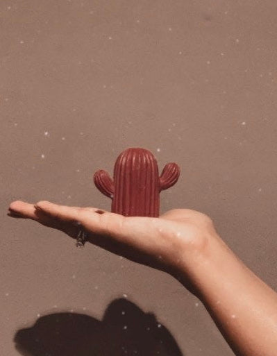 Cacti candle