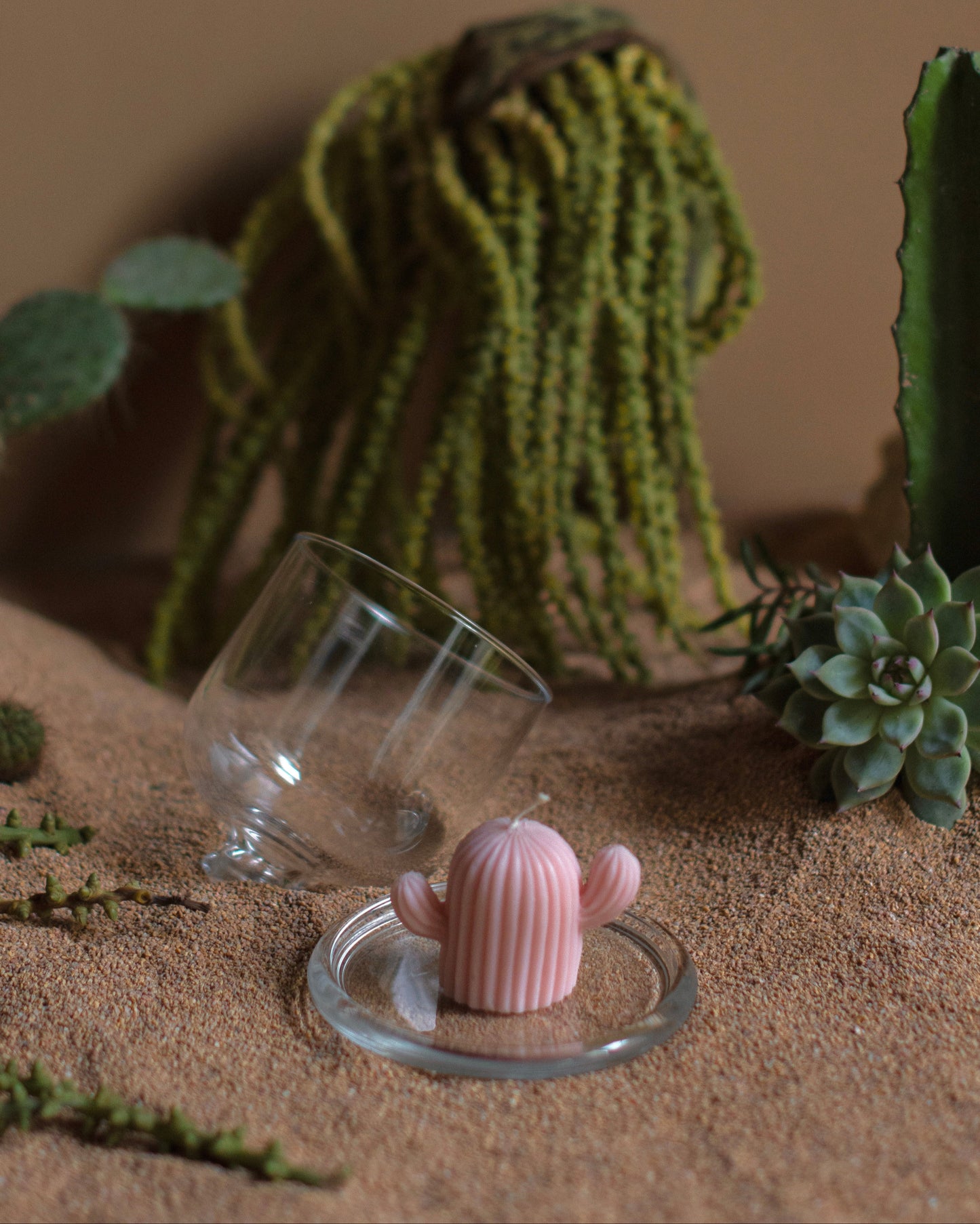 Cacti candle