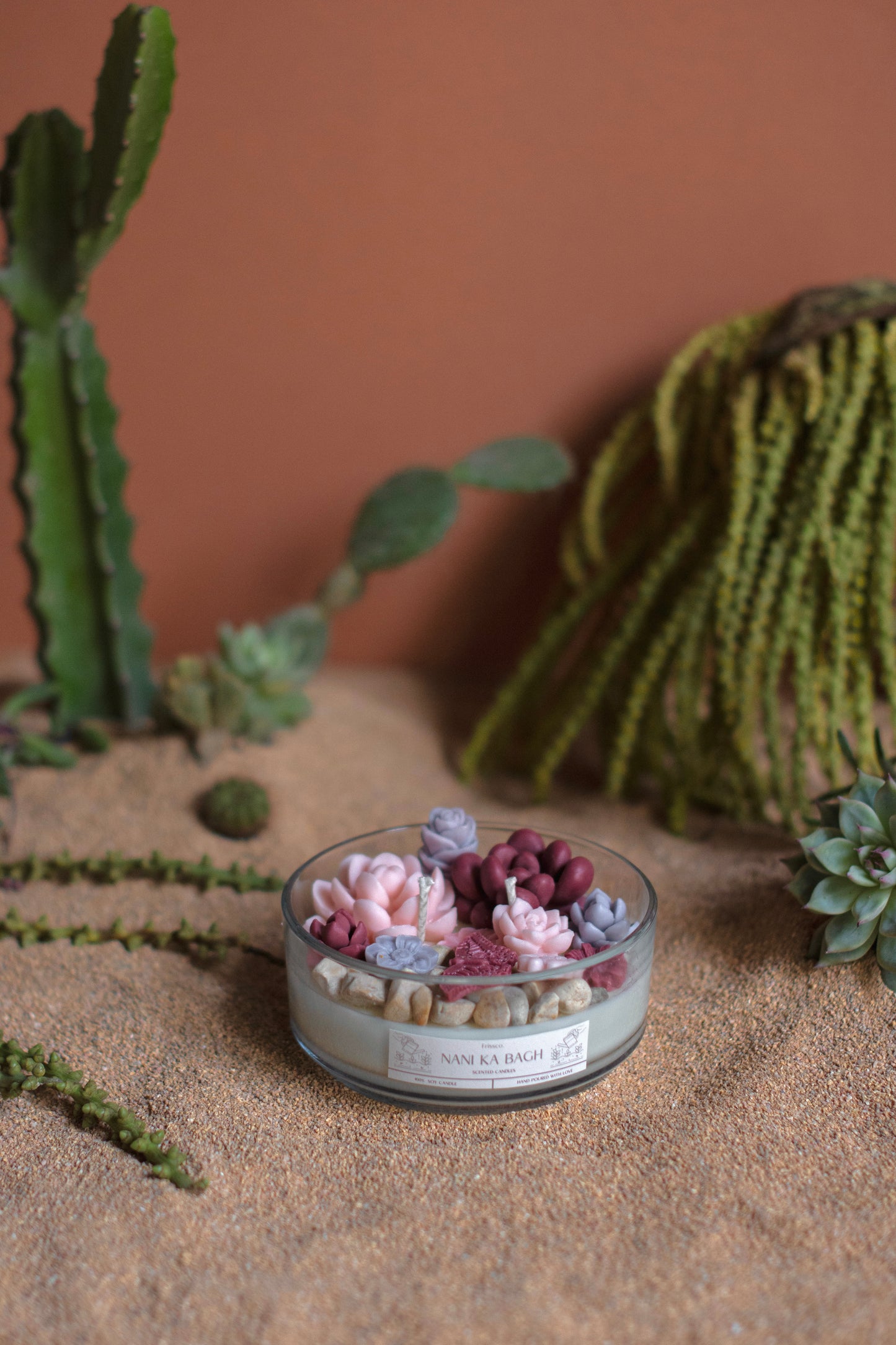 Cactus Garden