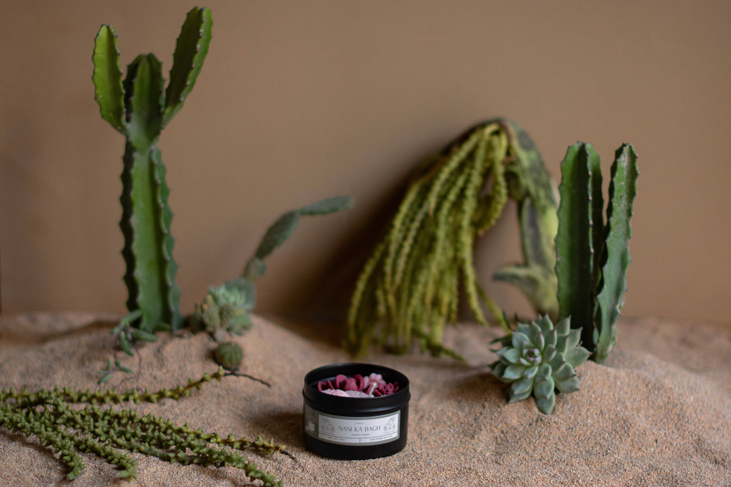 Cacti Tin