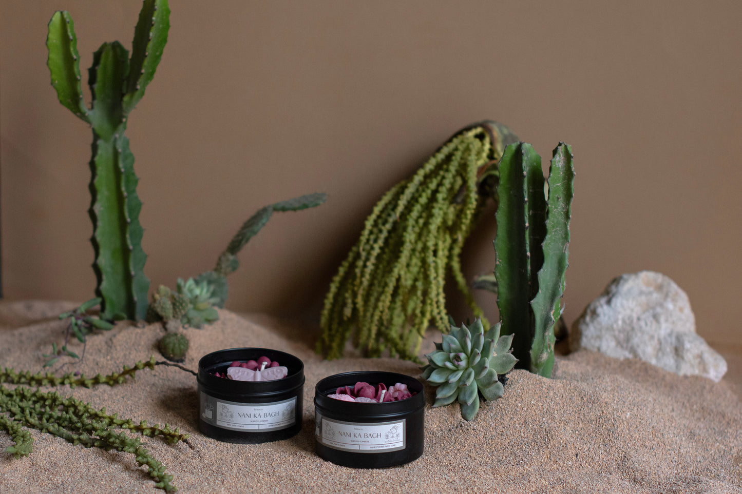 Cacti Tin