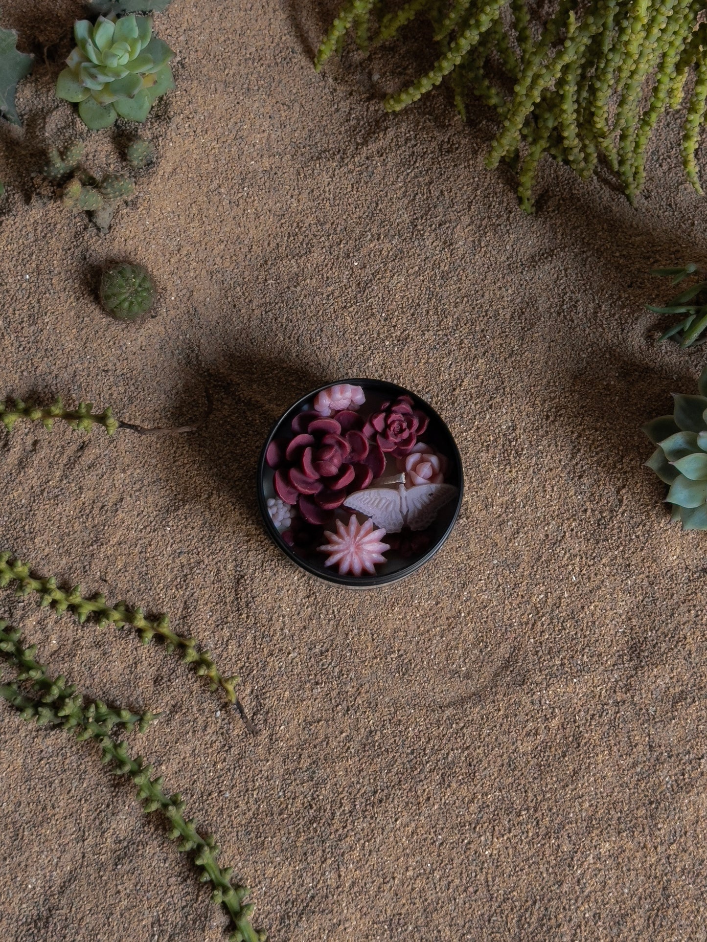 Cacti Tin
