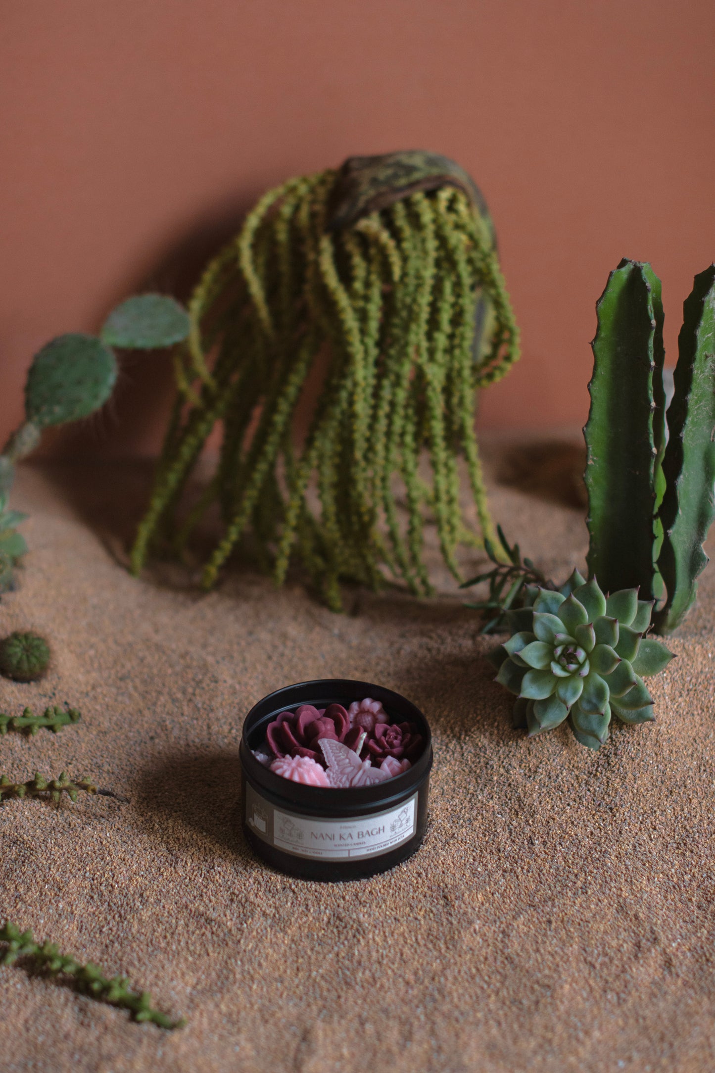 Cacti Tin