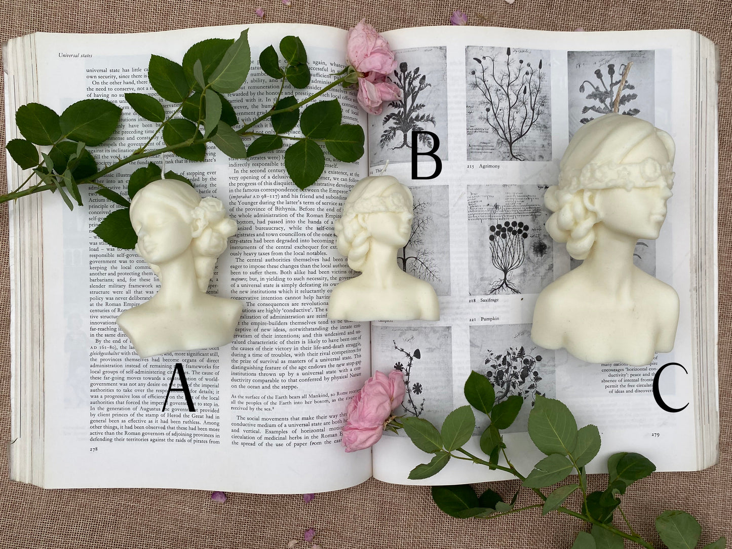 Flower Girls