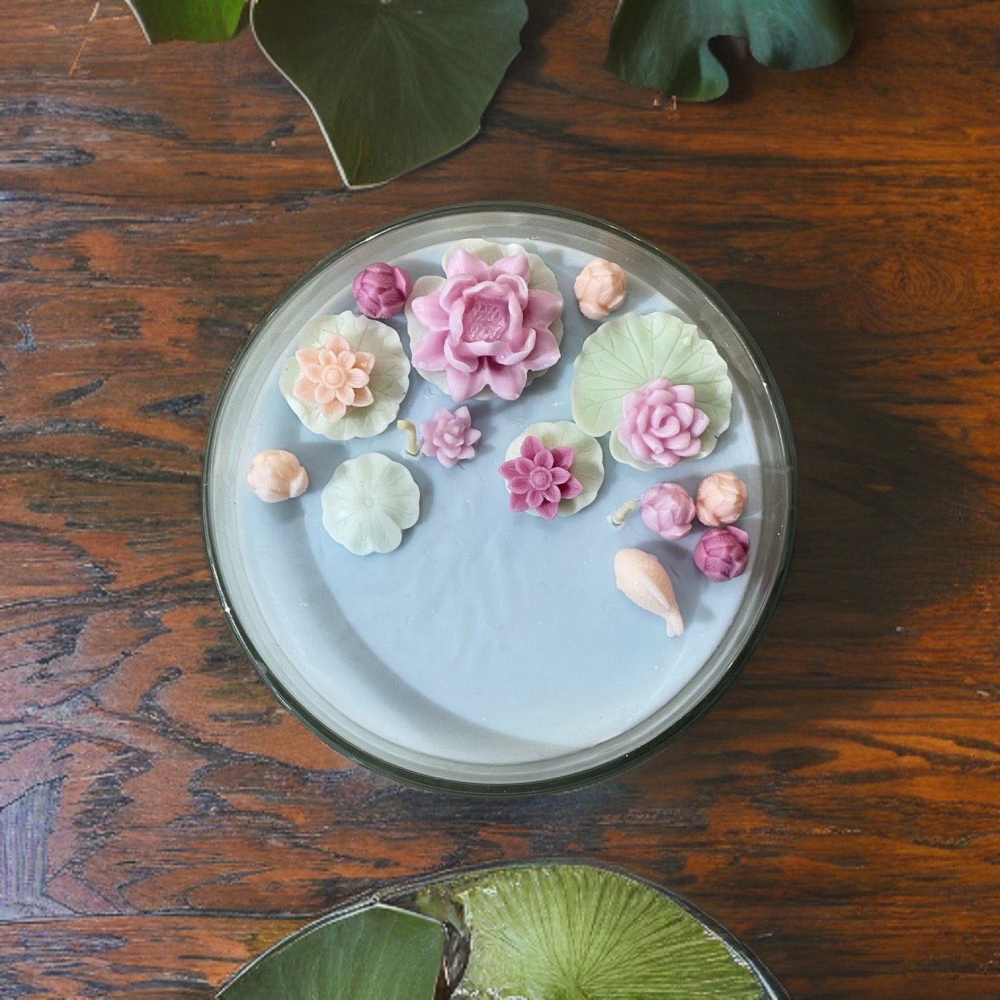 Lily pad