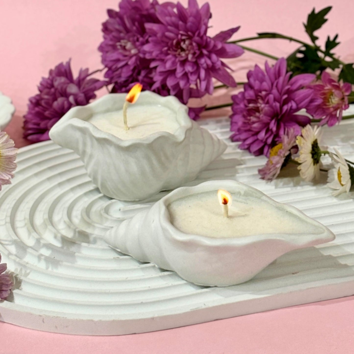 Shell Candle 5