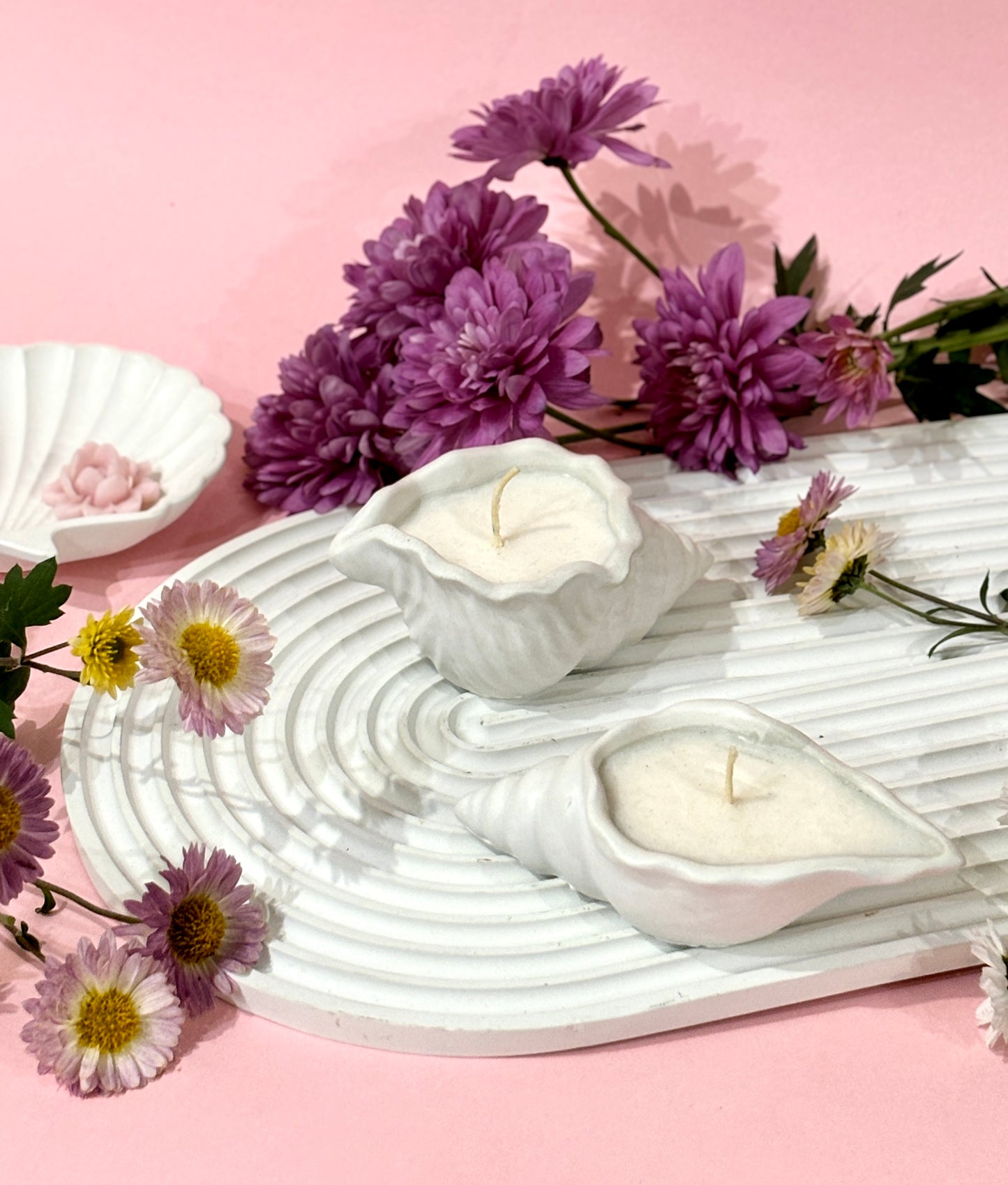Shell Candle 5