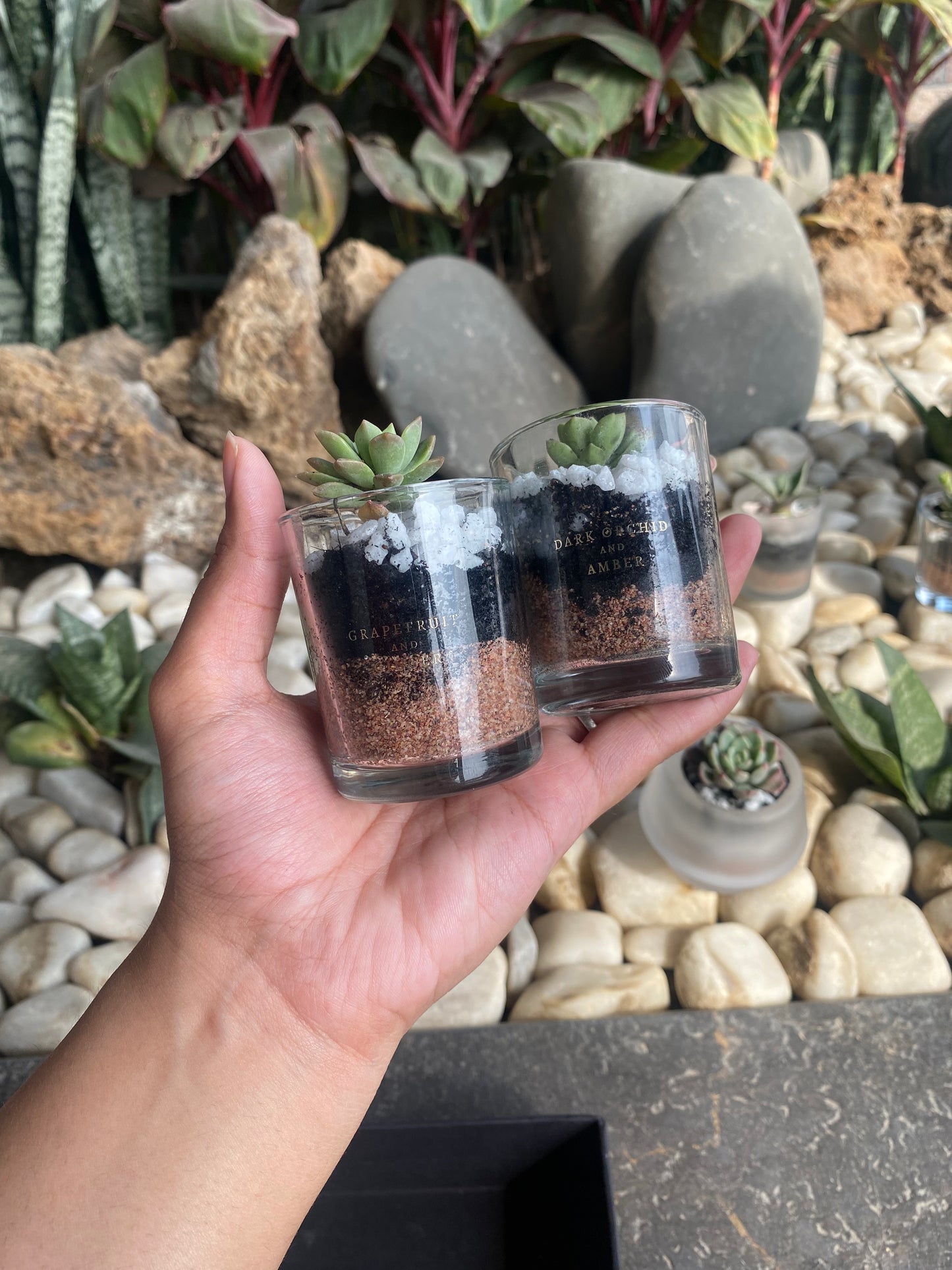Terarrium pots