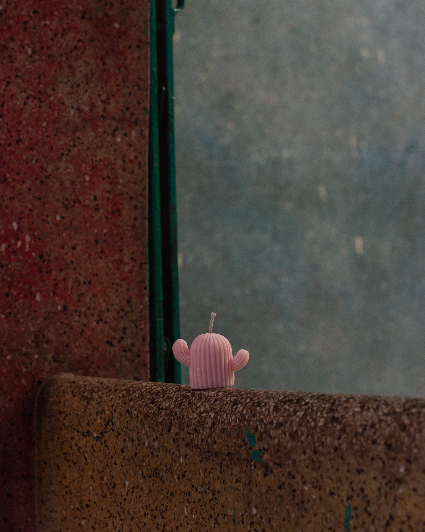 Cacti candle