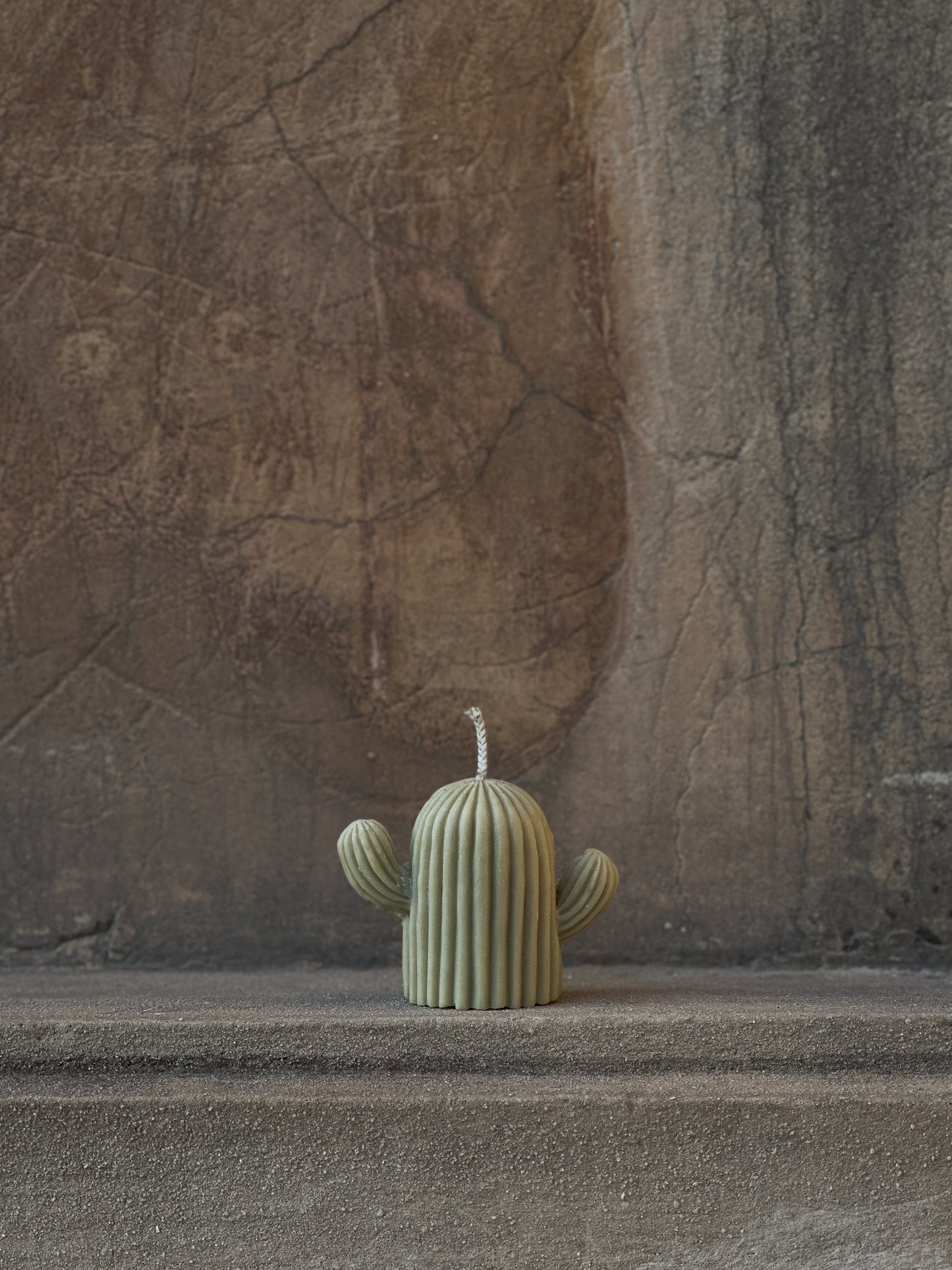 Cacti candle