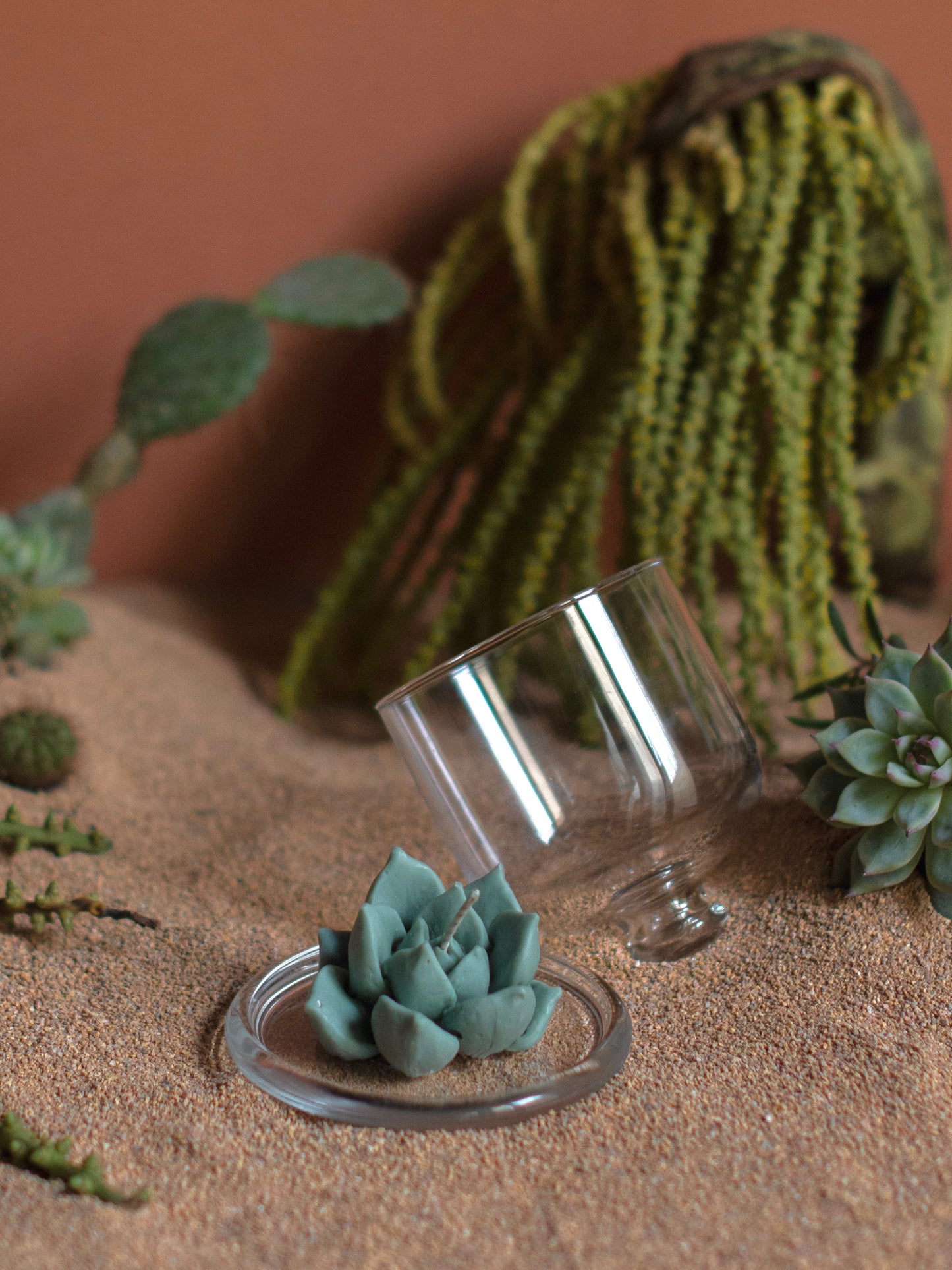 Succulent Candle with Jar