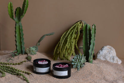 Cacti Tin