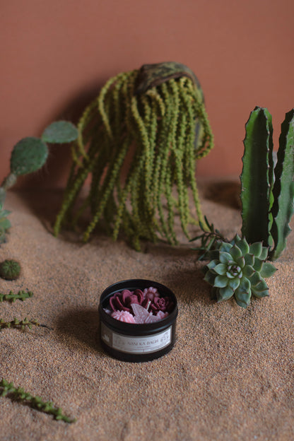 Cacti Tin