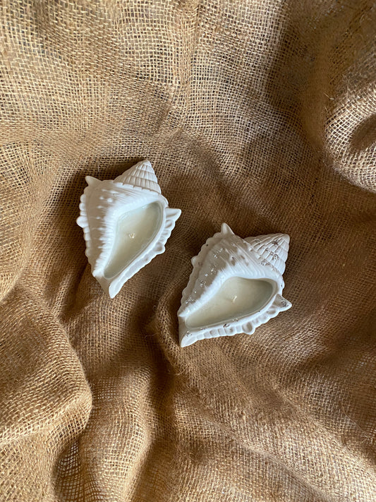 Shell Candle 4